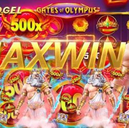 CHUTOGEL SLOT ONLINE DENGAN RTP MAXWIN 2024